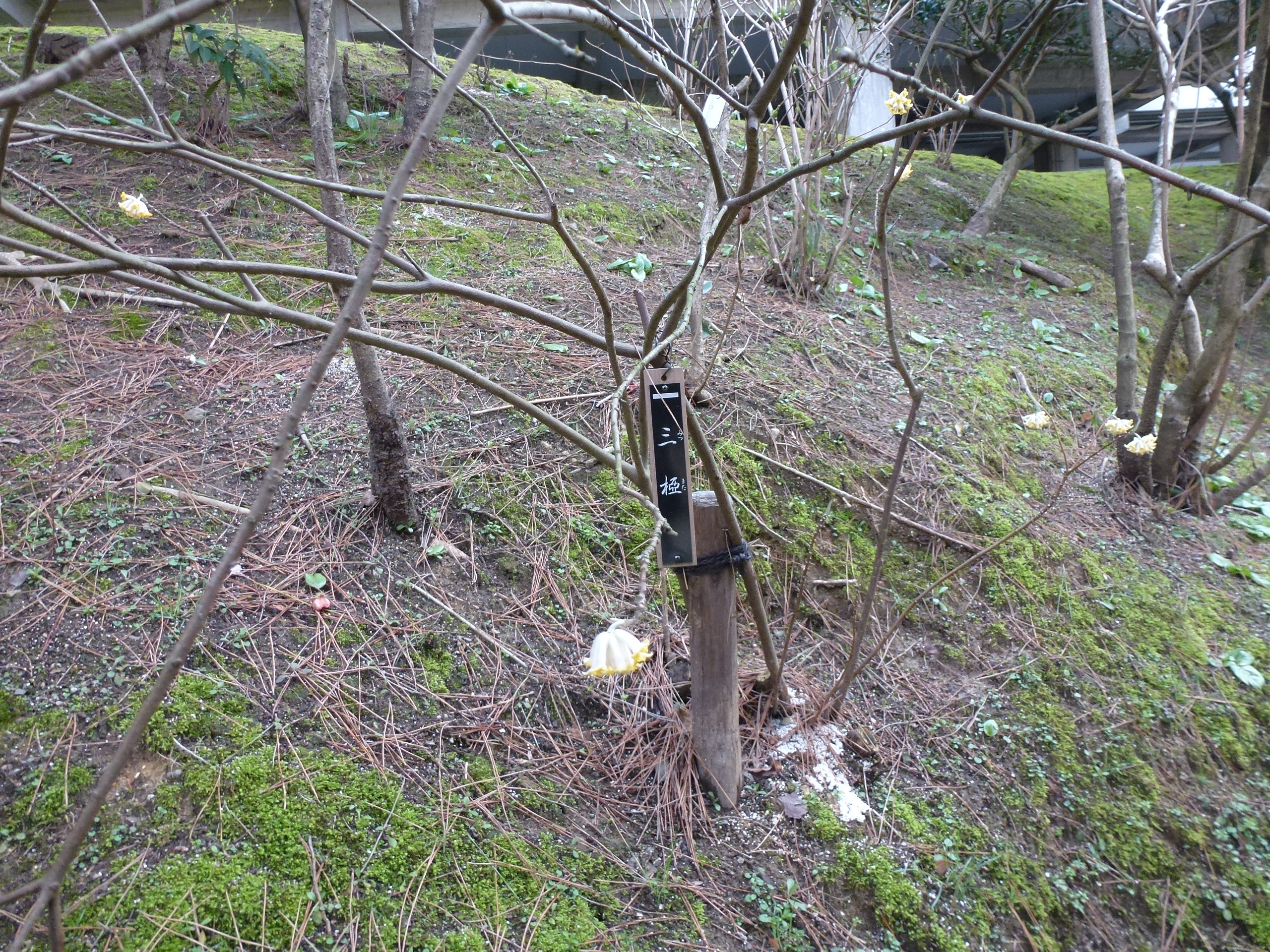 P1040045.JPG