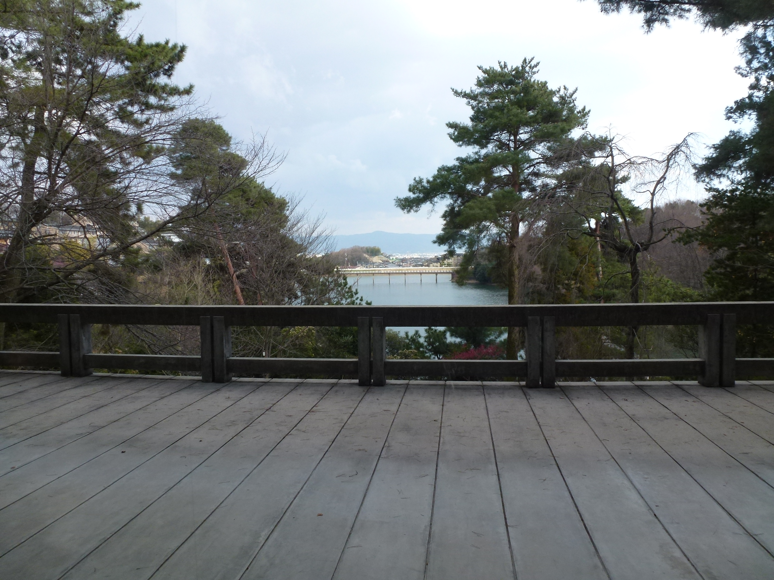 P1040048.JPG
