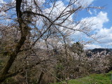 img0002.jpg