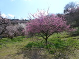 img0003.jpg