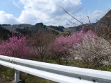img0007.jpg