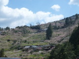 img0009.jpg