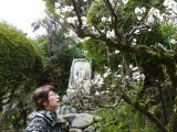 img0026.jpg