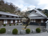 img0029.jpg