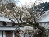 img0030.jpg