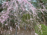 img0039.jpg
