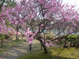 img0045.jpg