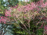 img0047.jpg
