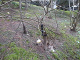 img0051.jpg