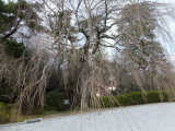 img0055.jpg