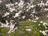 img0056.jpg