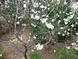 img0057.jpg