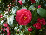 img0059.jpg