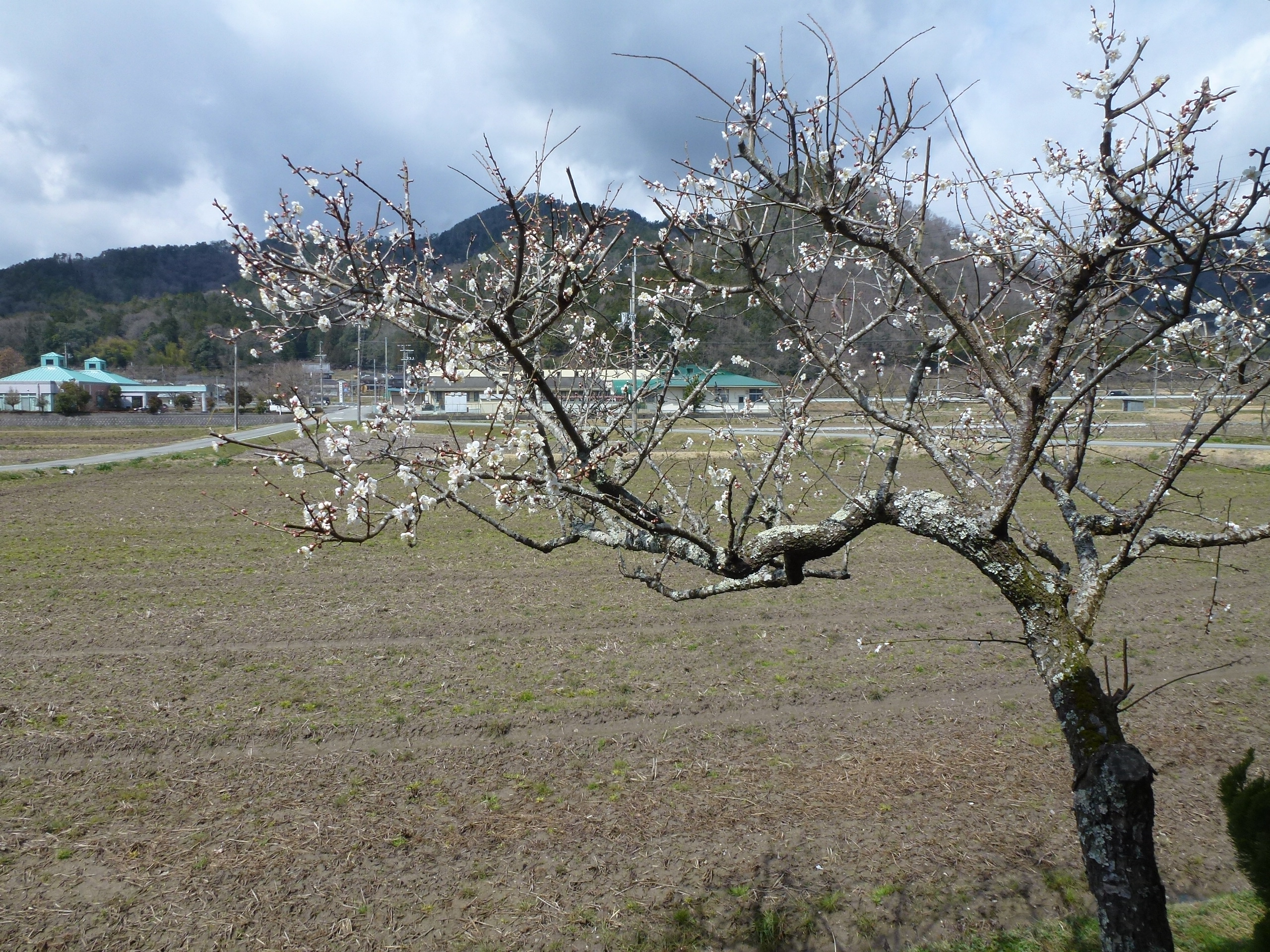 P1040099.JPG