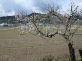 img0003.jpg