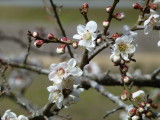 img0004.jpg