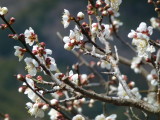 img0005.jpg