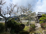 img0006.jpg