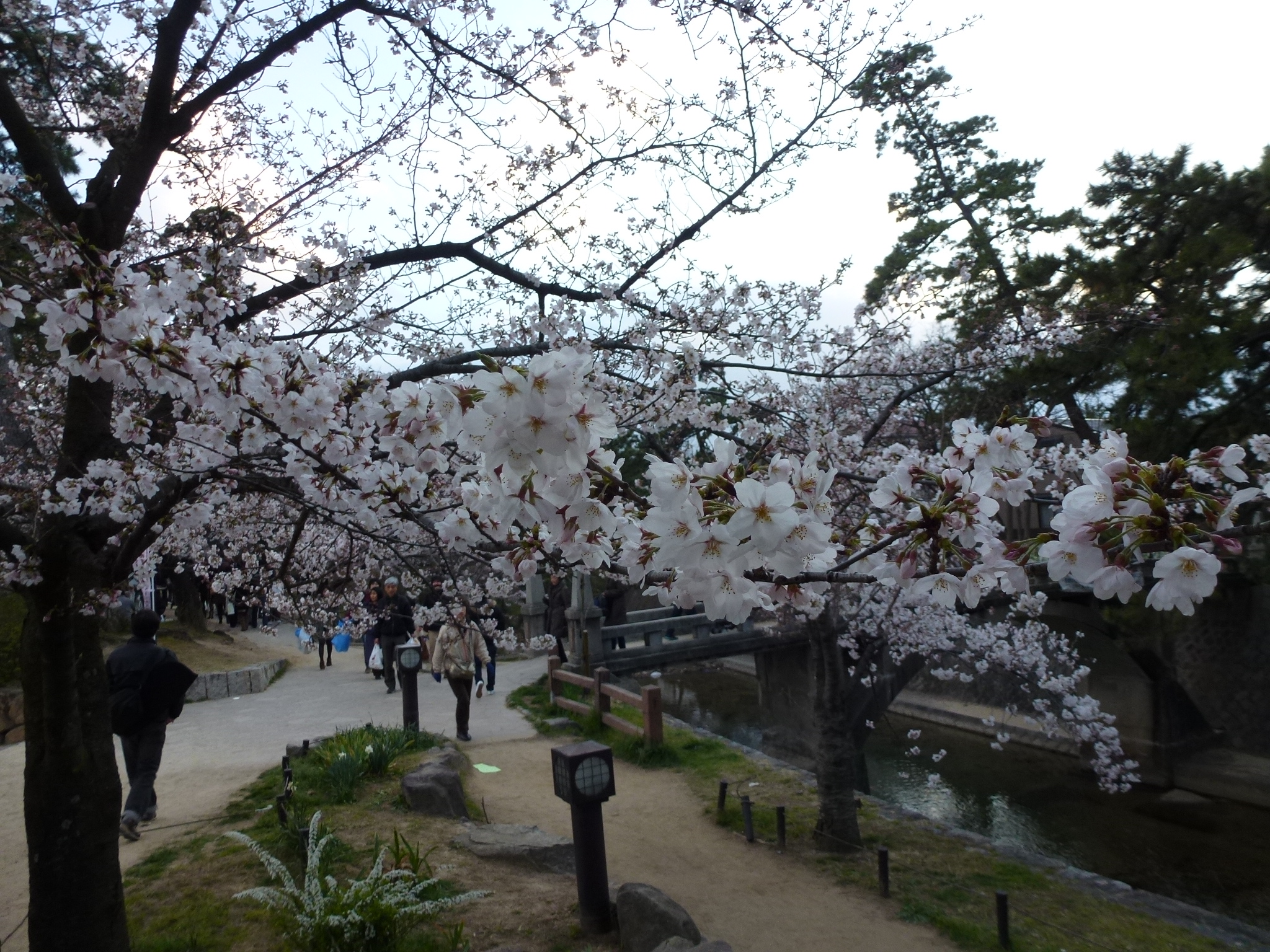 P1040160.JPG