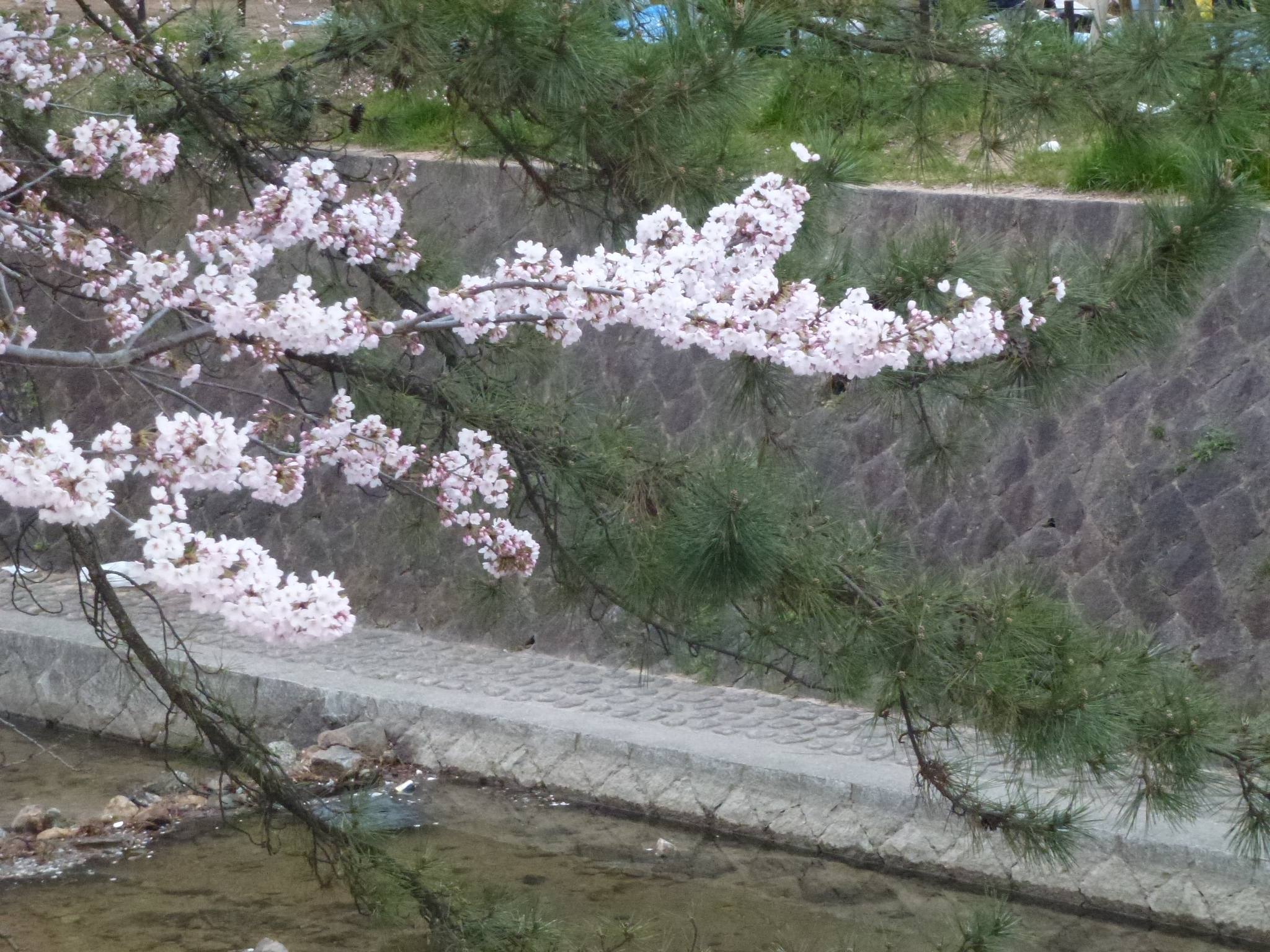 P1040161.JPG
