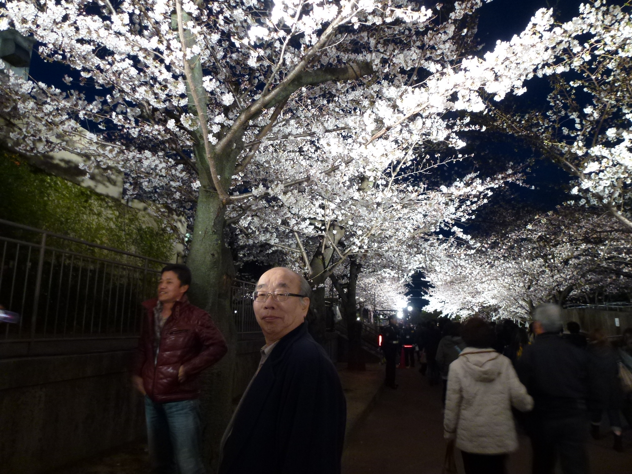 P1040169.JPG