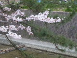 img0001.jpg
