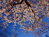 img0003.jpg