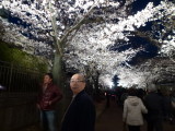 img0008.jpg