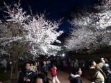 img0011.jpg