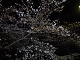 img0013.jpg