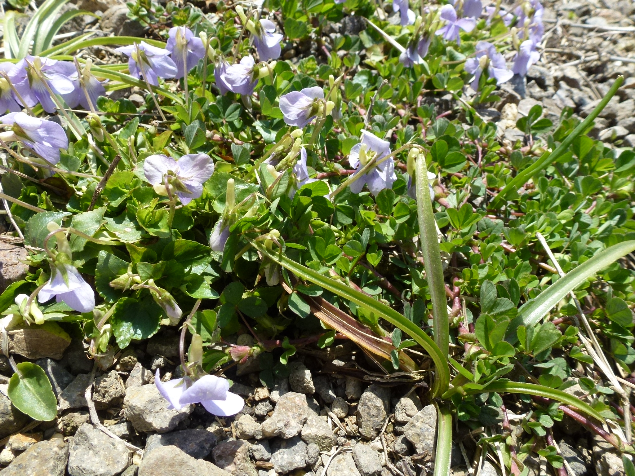 P1040184.JPG