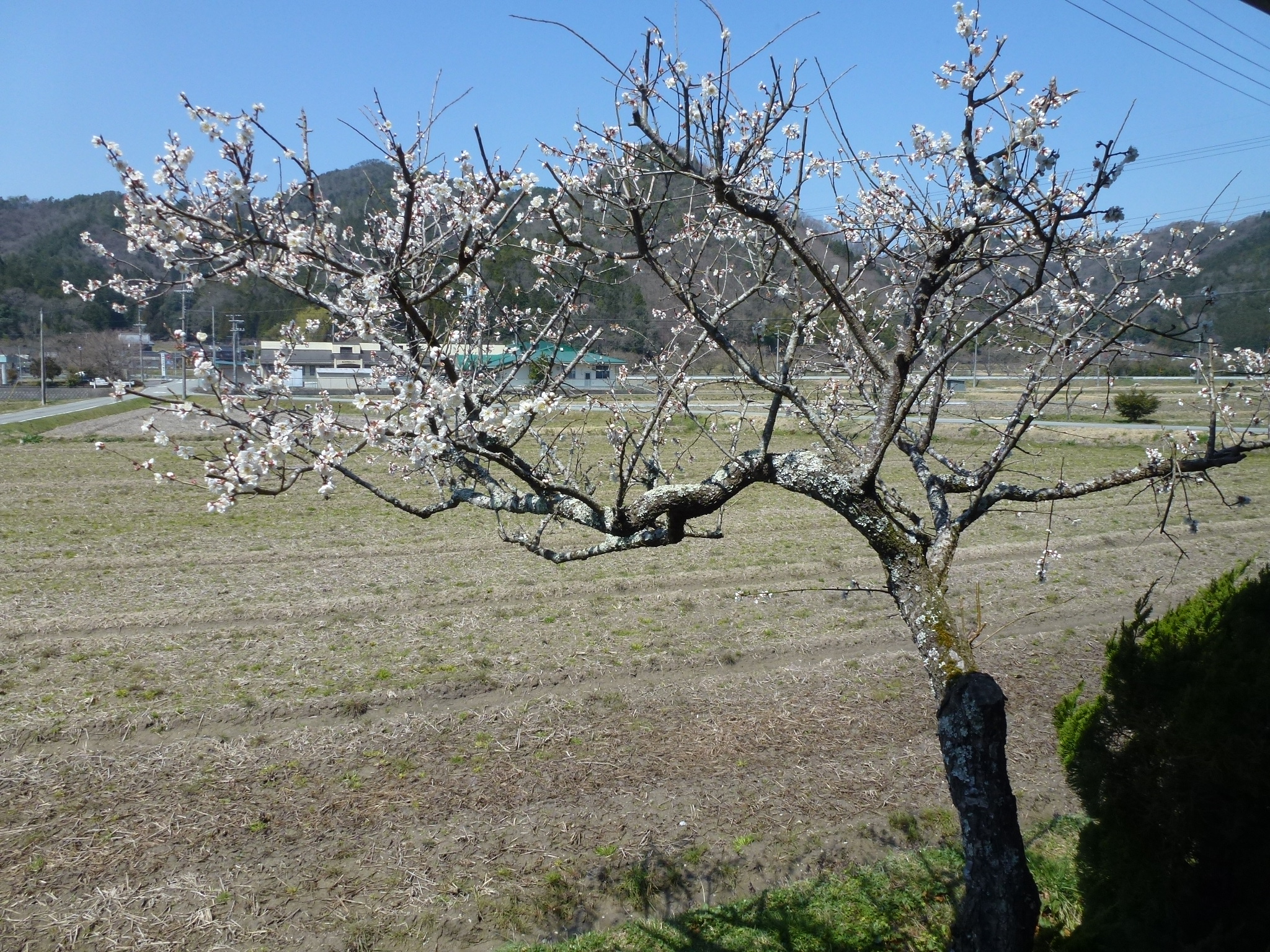 P1040185.JPG
