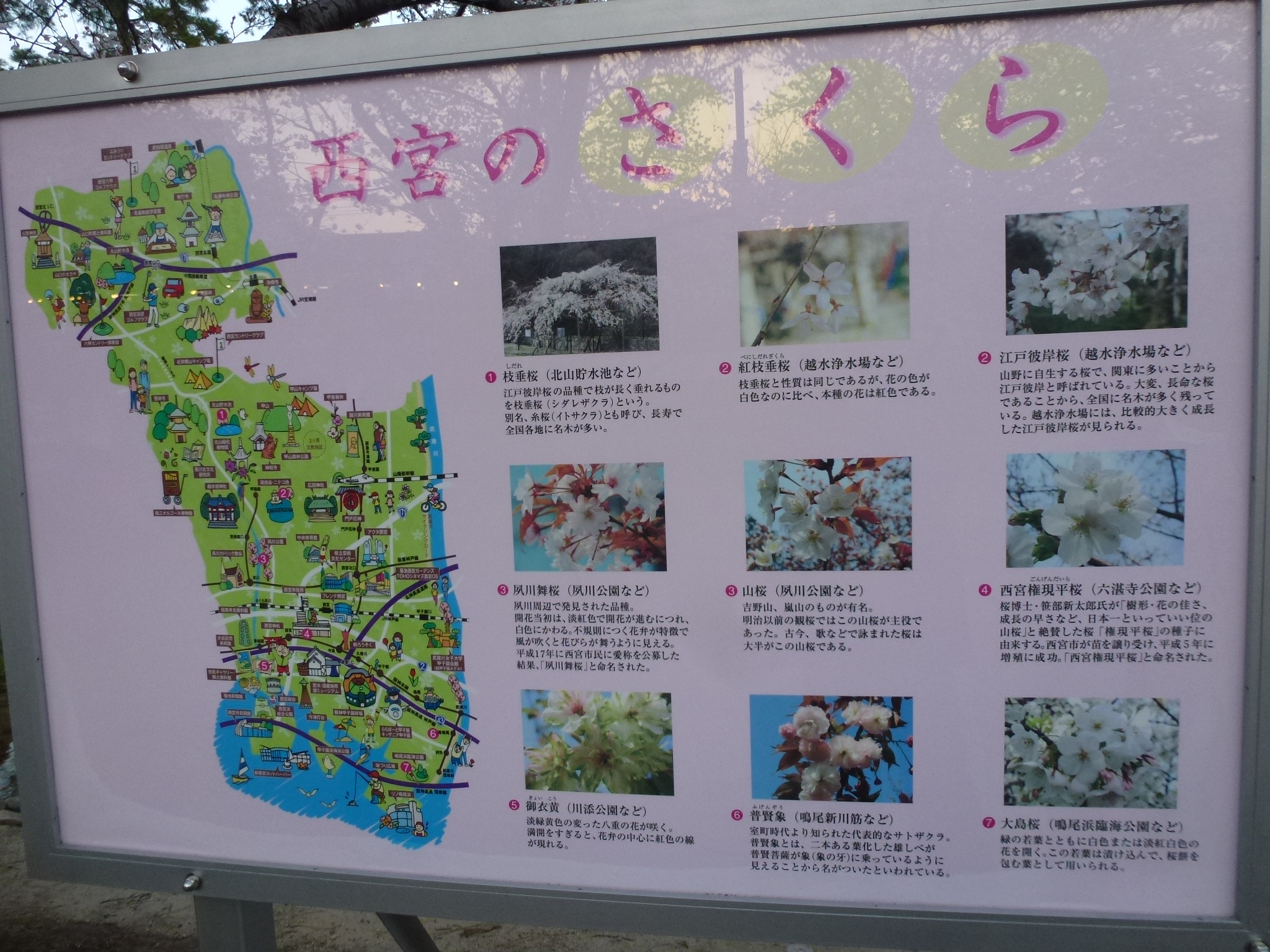 P1040206.JPG