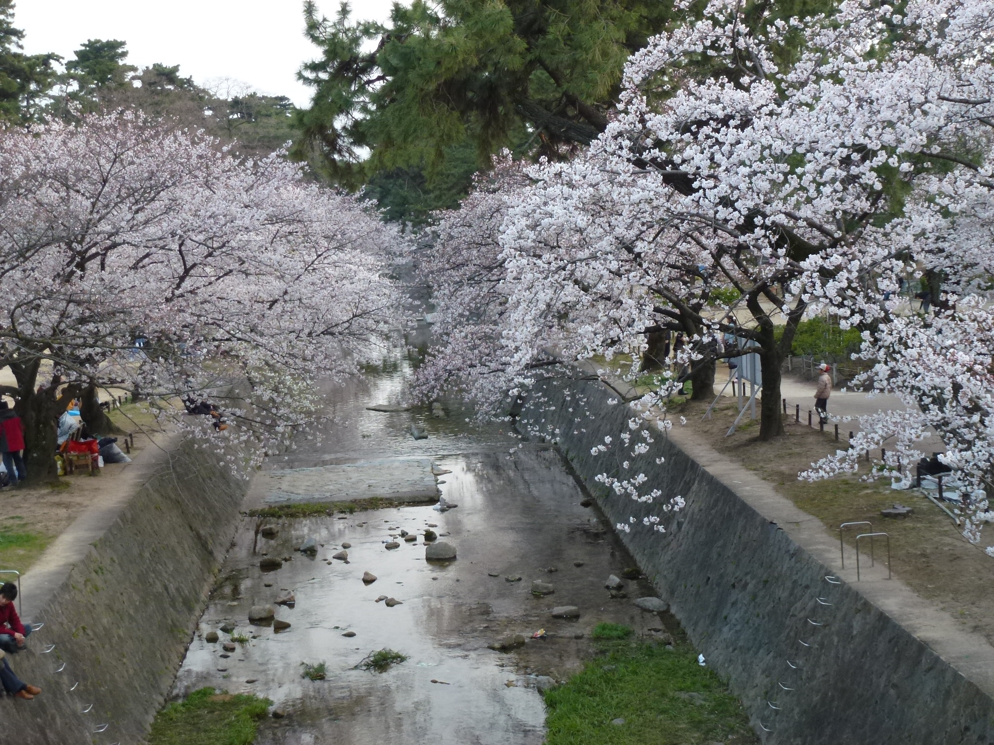 P1040207.JPG