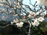 img0006.jpg
