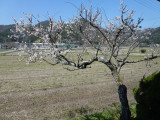 img0009.jpg