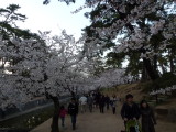 img0017.jpg