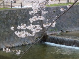 img0020.jpg