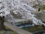 img0024.jpg