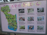 img0026.jpg