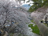 img0028.jpg