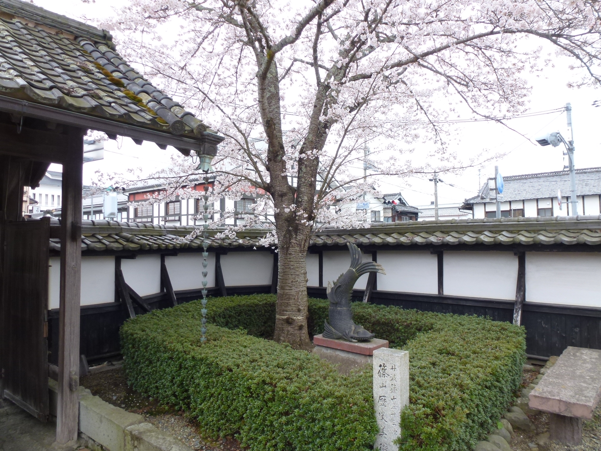 P1040267.JPG