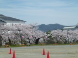 img0000.jpg
