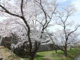 img0001.jpg