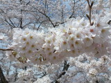 img0003.jpg