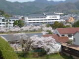 img0011.jpg