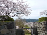 img0014.jpg