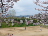 img0017.jpg