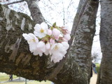 img0019.jpg