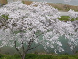img0020.jpg